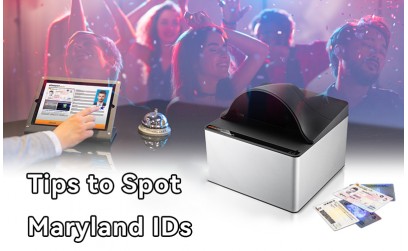 ✓ How to Spot Maryland Driver License