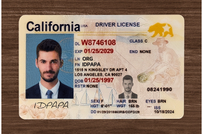 California IDs Card California IDs Card