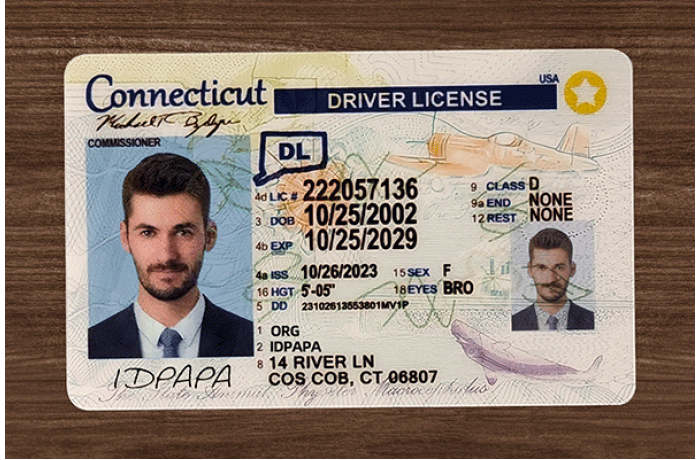 Connecticut Fake ID