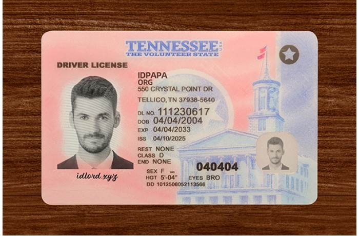 Tennessee Driver’s Licence  (2025 Version)