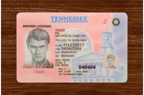 Tennessee Driver’s Licence  (2025 Version)