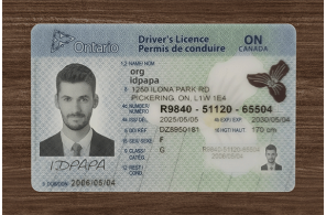 Ontario Fake ID (upgrade version)