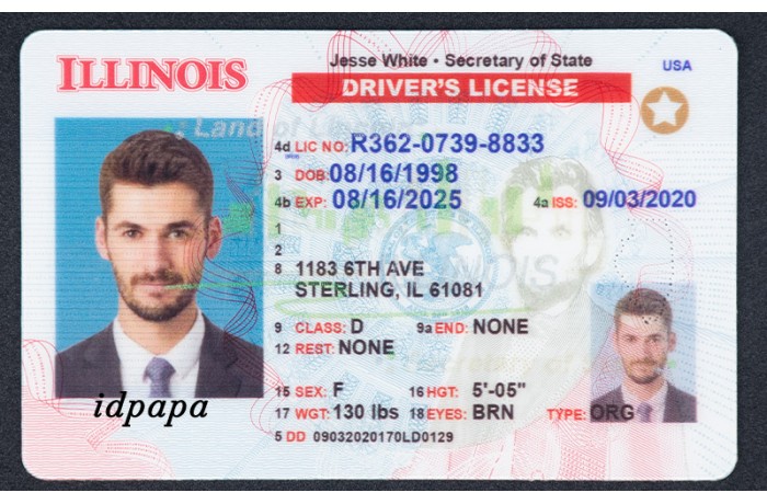illinois  novelty driver license with photo ID, labeled IDPAPA for entertainment use