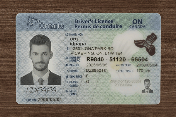 Ontario Fake ID (upgrade version) Ontario Fake ID (upgrade version)