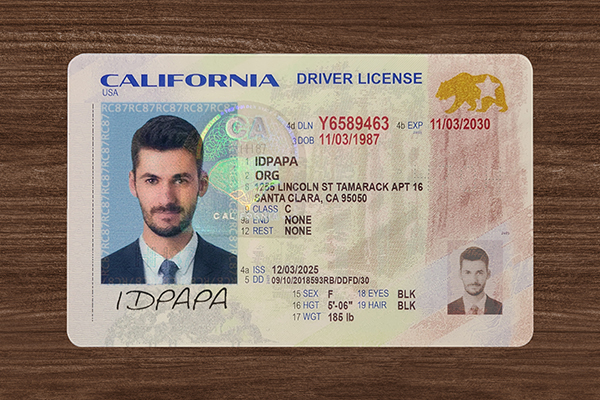 California Driver’s Licence (2026 Version)
